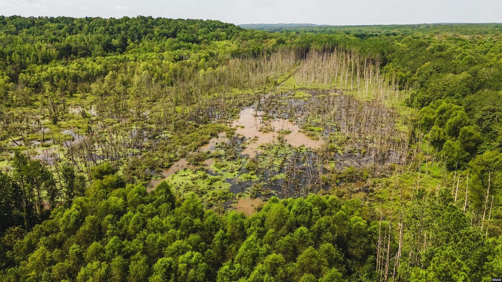 108 Acres of Recreational Land for Sale in Counce, Tennessee