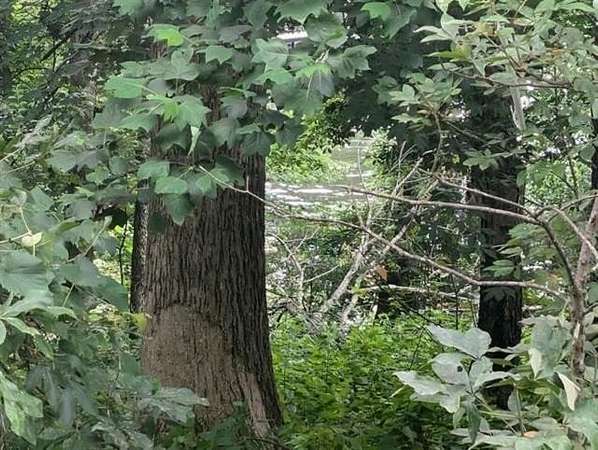 Residential Land for Sale in Florence, Alabama