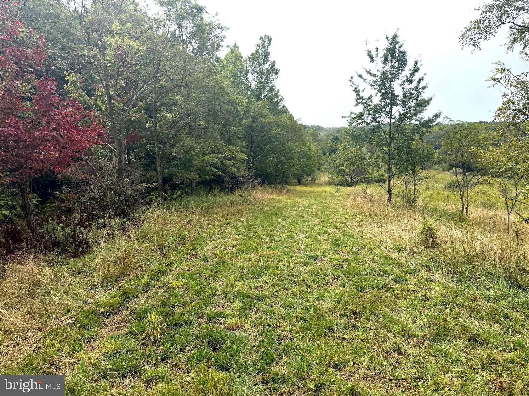 2 Acres of Land for Sale in Keyser, West Virginia