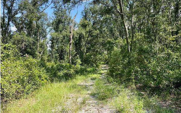 120 Acres of Land for Sale in Live Oak, Florida
