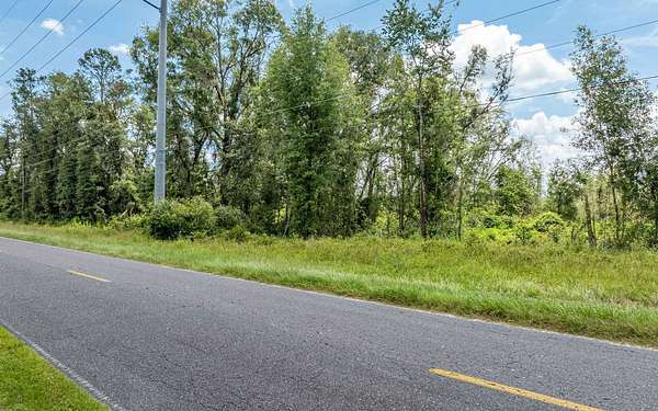 40 Acres of Land for Sale in Live Oak, Florida