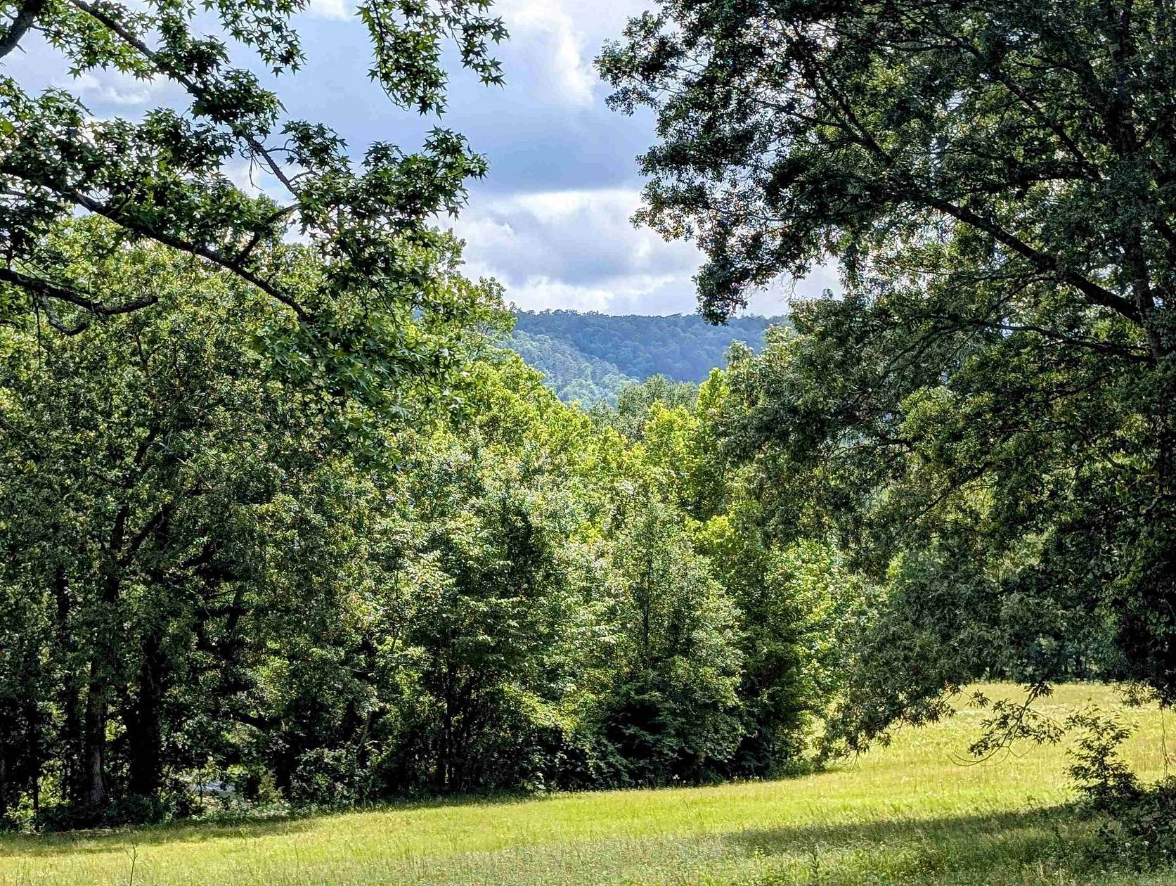 50 Acres of Recreational Land & Farm for Sale in Smithville, Oklahoma