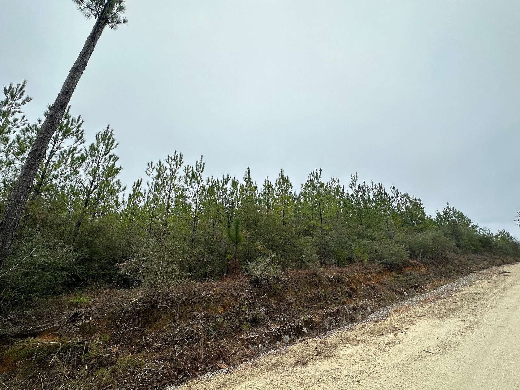 23.5 Acres of Recreational Land for Sale in Caryville, Florida