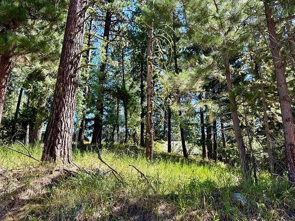 0.26 Acres of Land for Sale in McCall, Idaho
