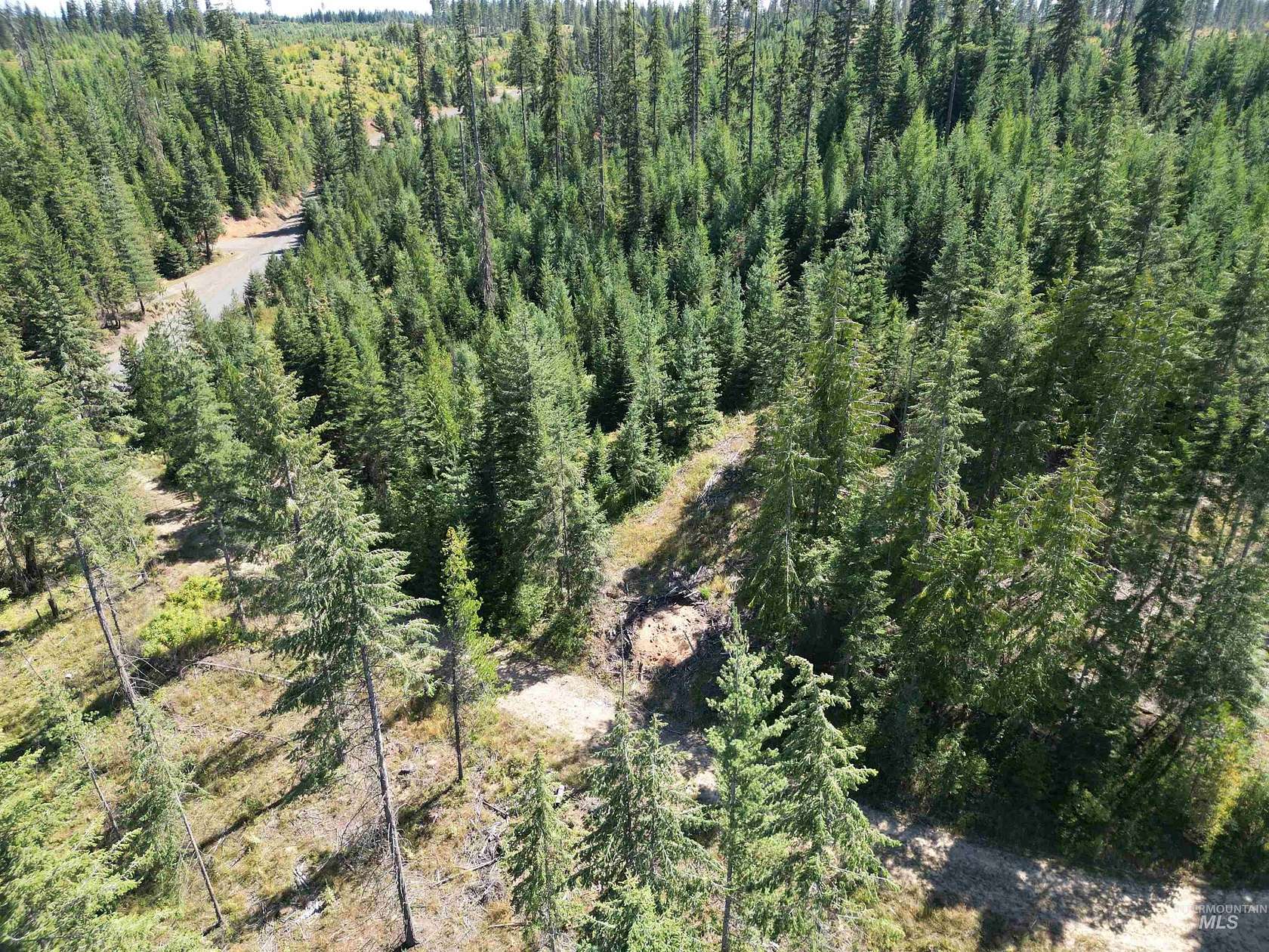 5.79 Acres of Land for Sale in Orofino, Idaho