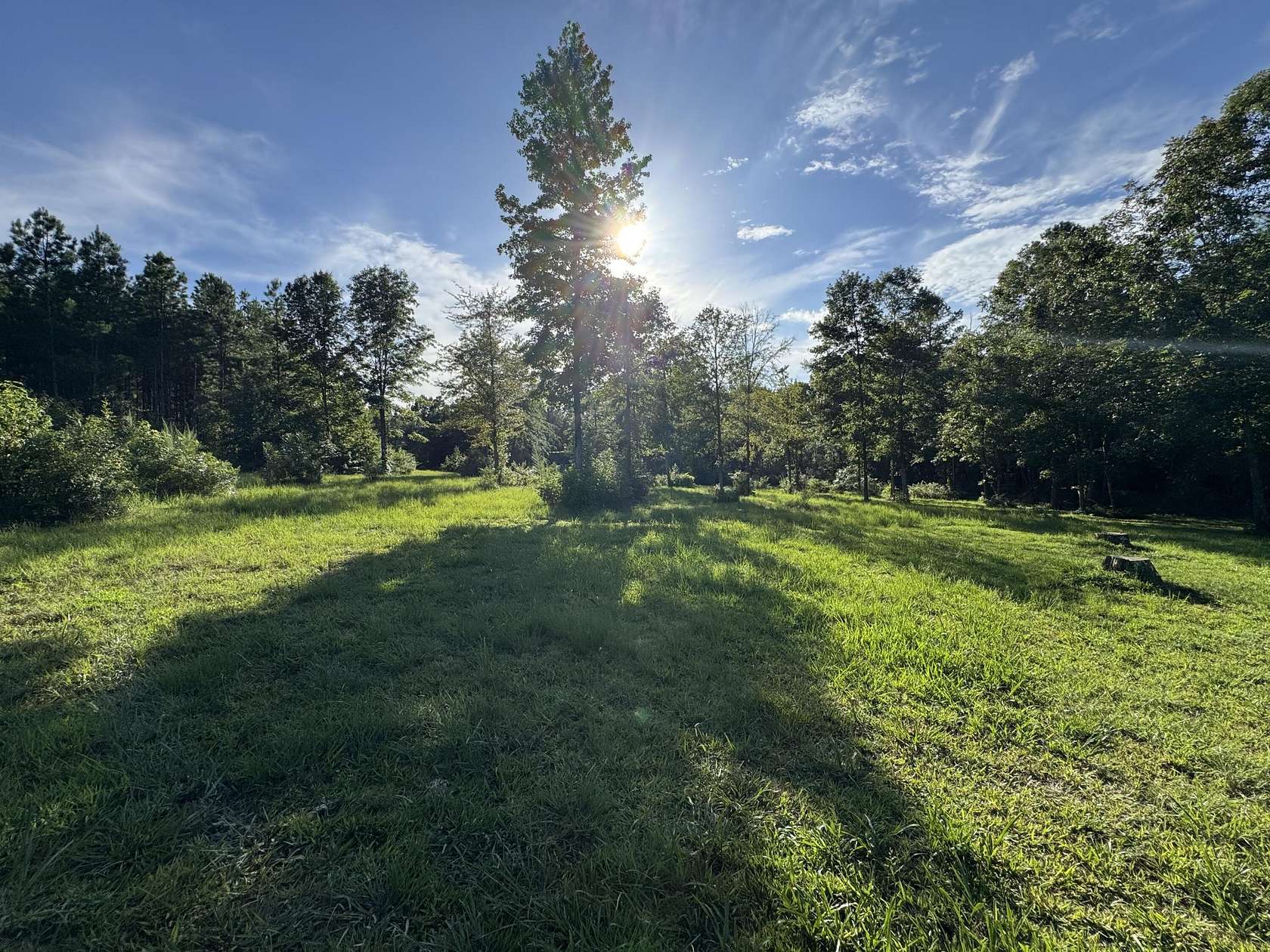 22.9 Acres of Recreational Land for Sale in Saluda, South Carolina