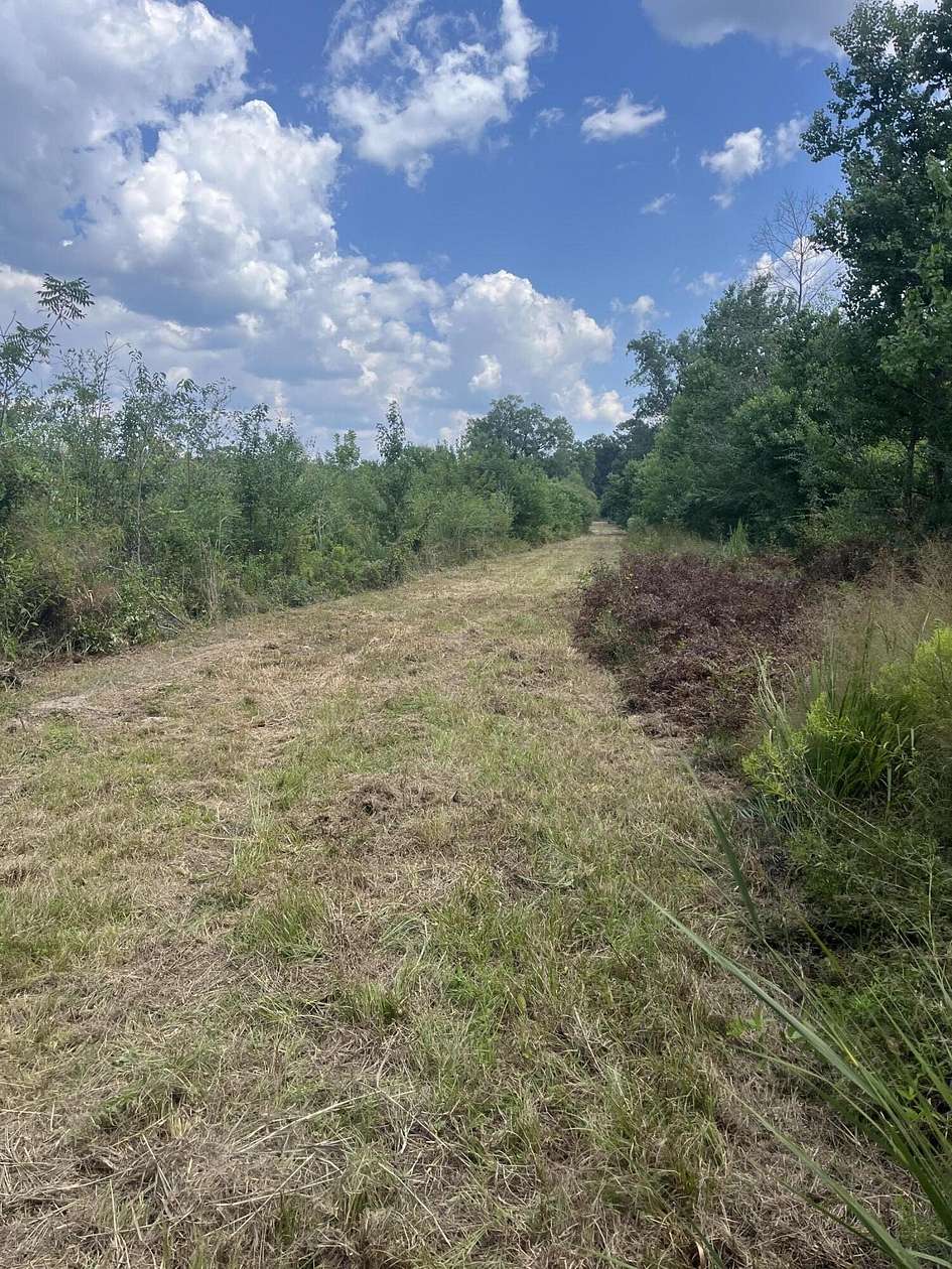 40 Acres of Land for Sale in Ovett, Mississippi