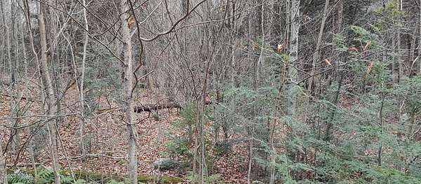 1.64 Acres of Residential Land for Sale in Gouldsboro, Pennsylvania