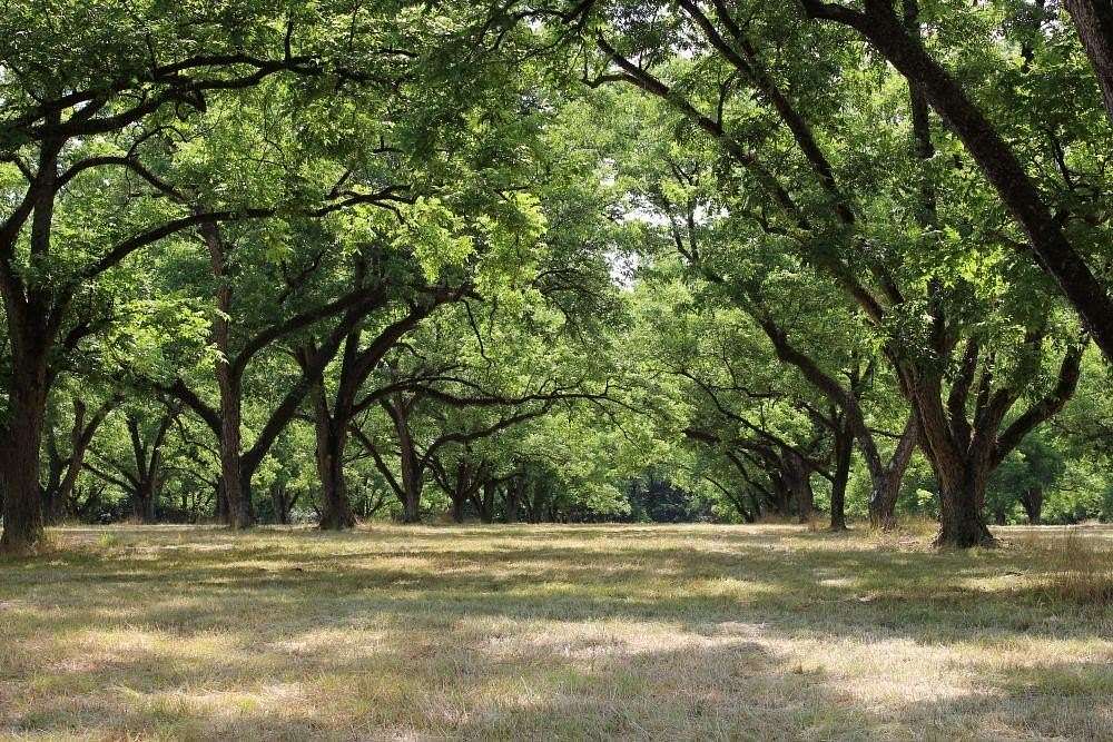 115 Acres of Land for Sale in Hurtsboro, Alabama