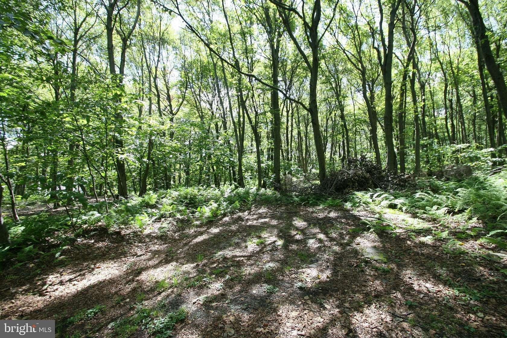 41.7 Acres of Recreational Land for Sale in Three Springs, Pennsylvania