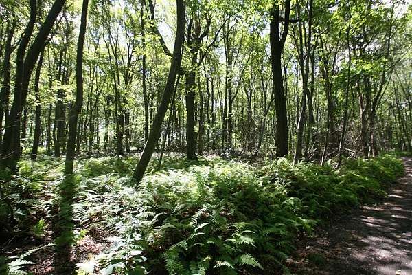 41.7 Acres of Recreational Land for Sale in Three Springs, Pennsylvania