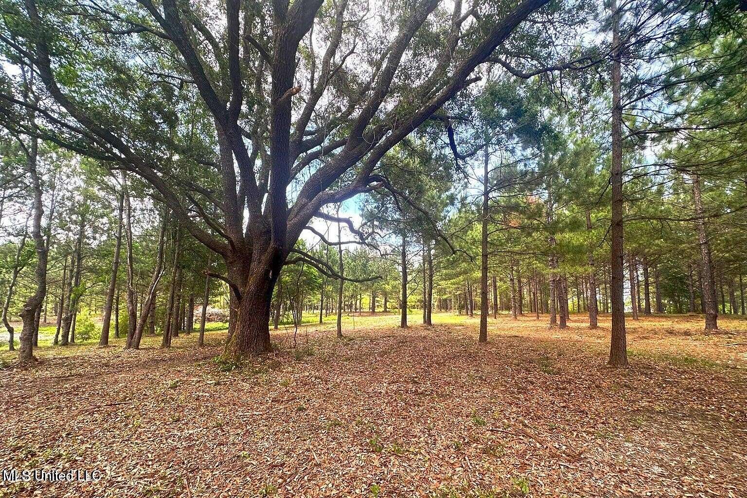 23 Acres of Land for Sale in Lucedale, Mississippi