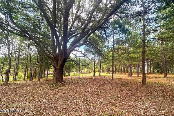 23 Acres of Land for Sale in Lucedale, Mississippi