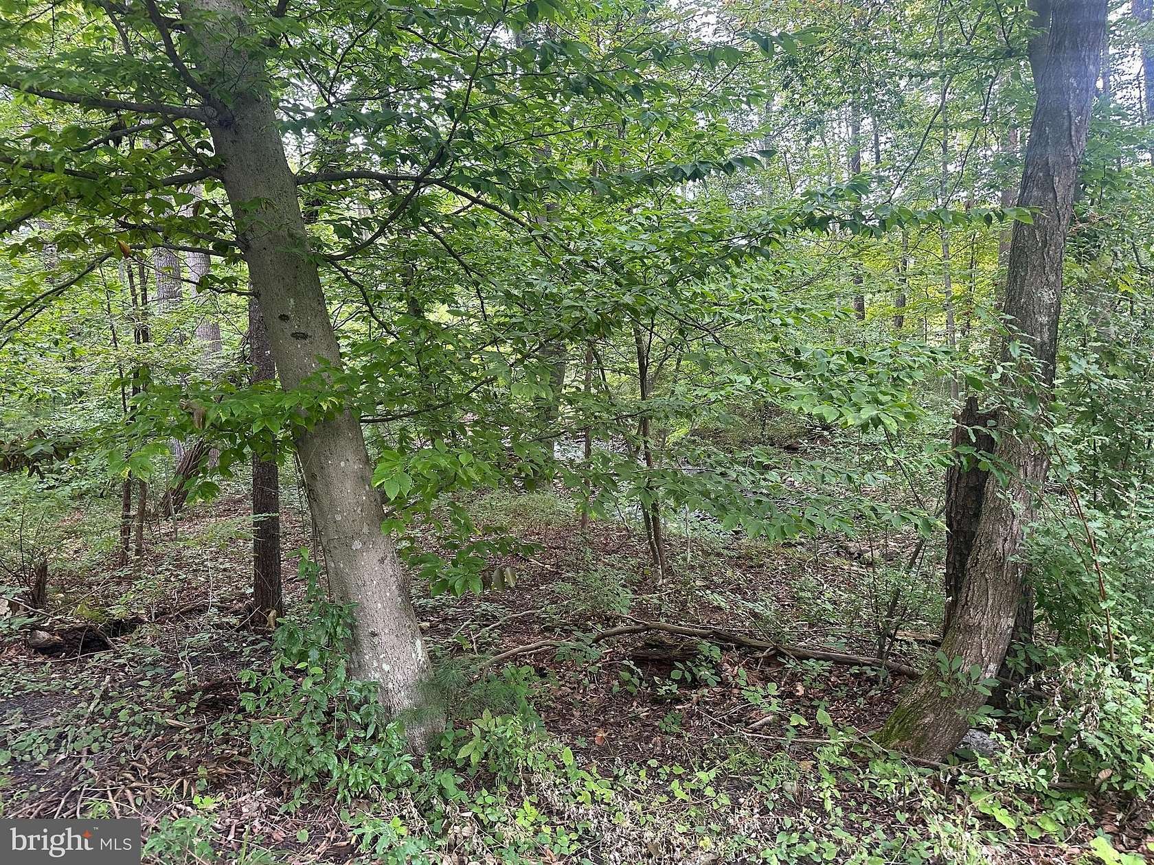 3.1 Acres of Residential Land for Sale in Maurertown, Virginia