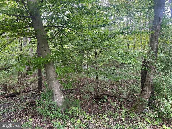 3.1 Acres of Residential Land for Sale in Maurertown, Virginia