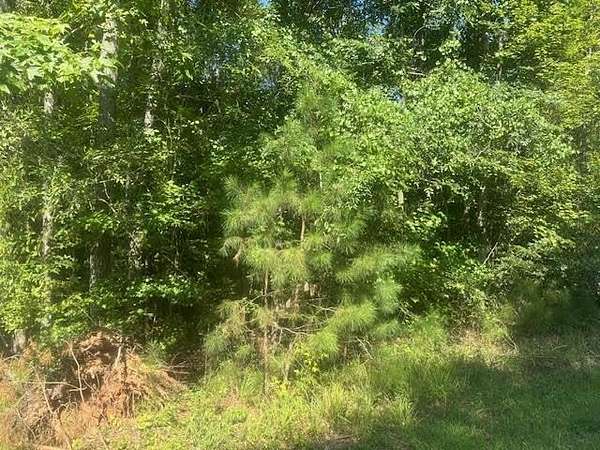 1 Acre of Residential Land for Sale in Eatonton, Georgia