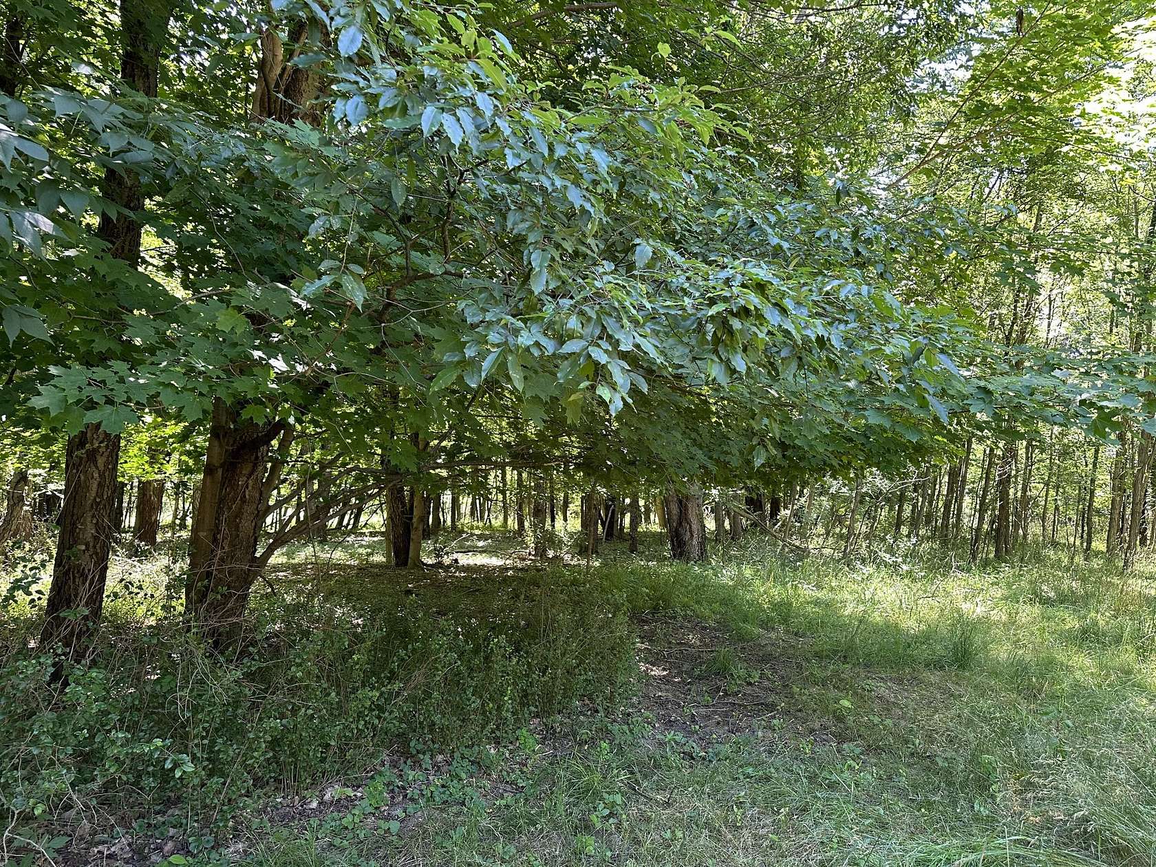 2.5 Acres of Residential Land for Sale in South Haven, Michigan