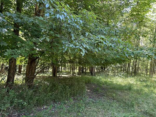 2.5 Acres of Residential Land for Sale in South Haven, Michigan