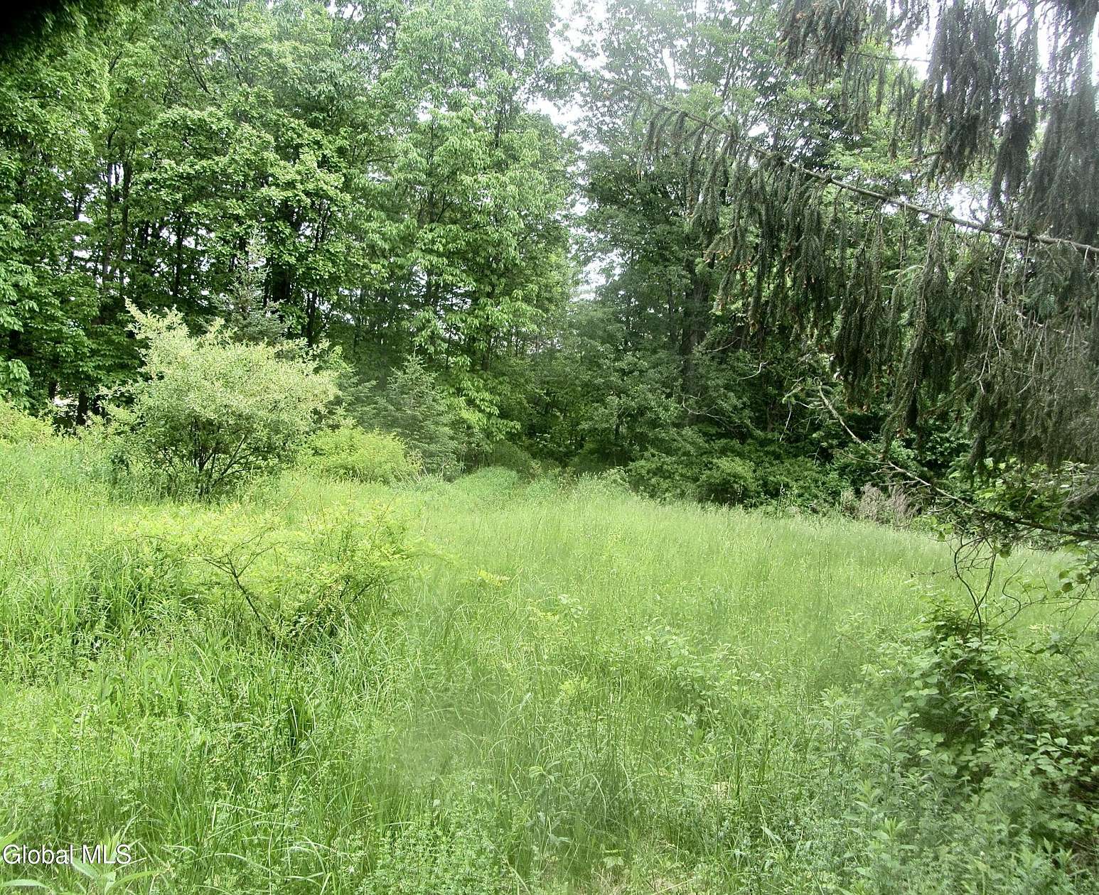3 Acres of Residential Land for Sale in Feura Bush, New York