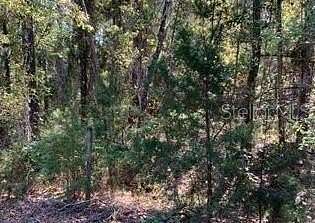 2 Acres of Land for Sale in Waldo, Florida