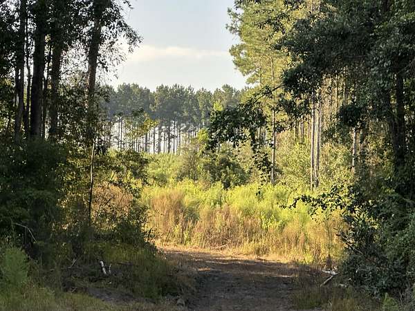 267 Acres of Recreational Land & Farm for Sale in DeFuniak Springs, Florida