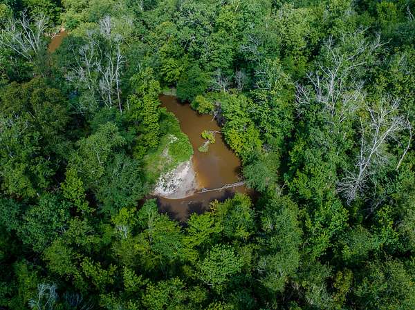 88.4 Acres of Recreational Land for Sale in Newton, Texas