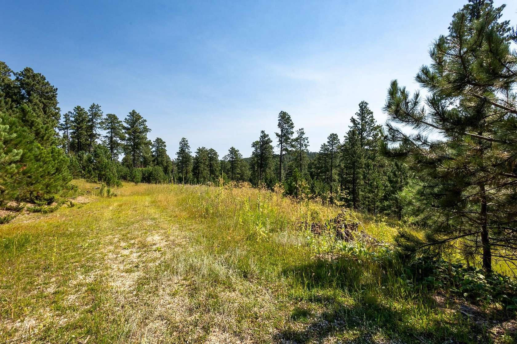 5.33 Acres of Residential Land for Sale in Lead, South Dakota
