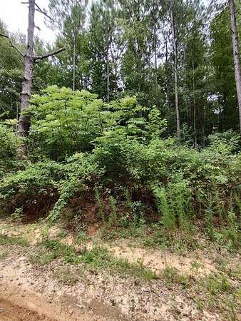 0.5 Acres of Residential Land for Sale in Lumberton, Mississippi