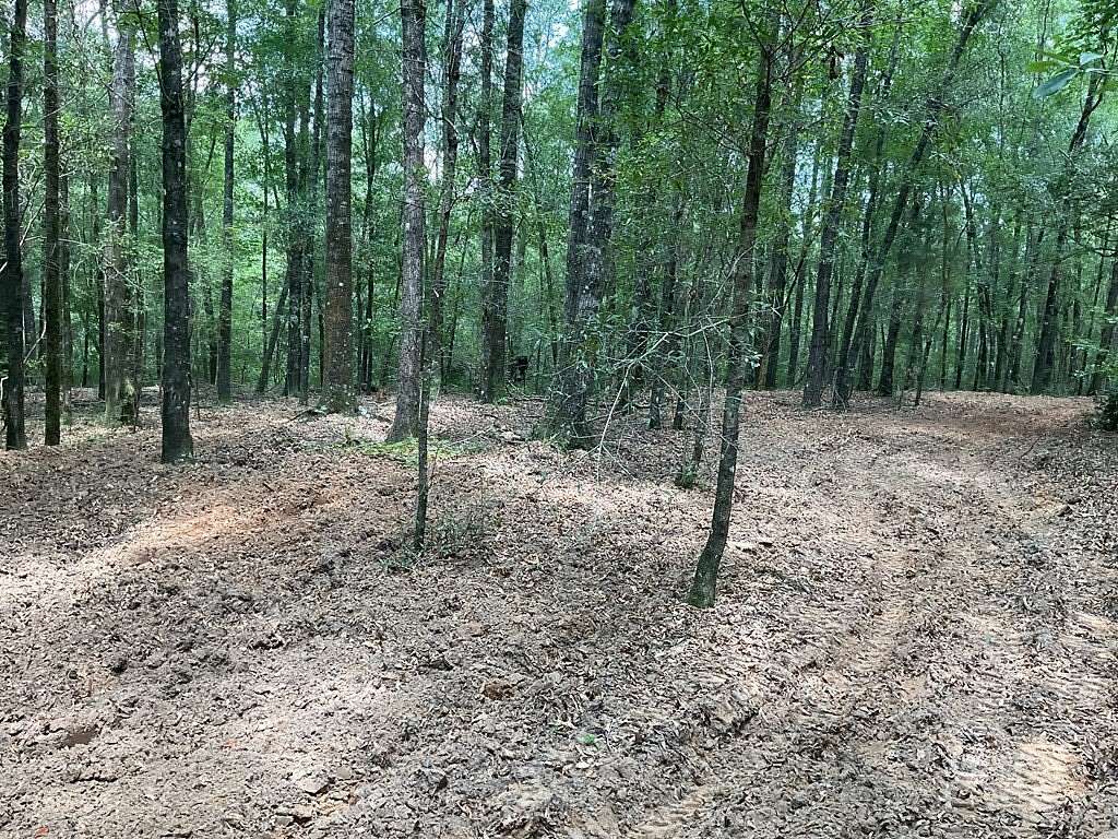 80 Acres of Recreational Land for Sale in Luverne, Alabama