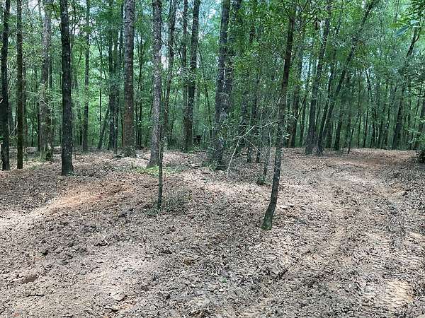 80 Acres of Recreational Land for Sale in Luverne, Alabama