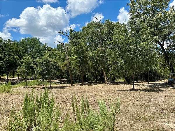 2 Acres of Residential Land for Sale in Iola, Texas