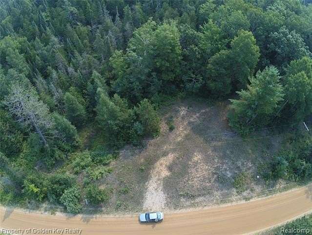 10 Acres of Recreational Land for Sale in Harrison, Michigan
