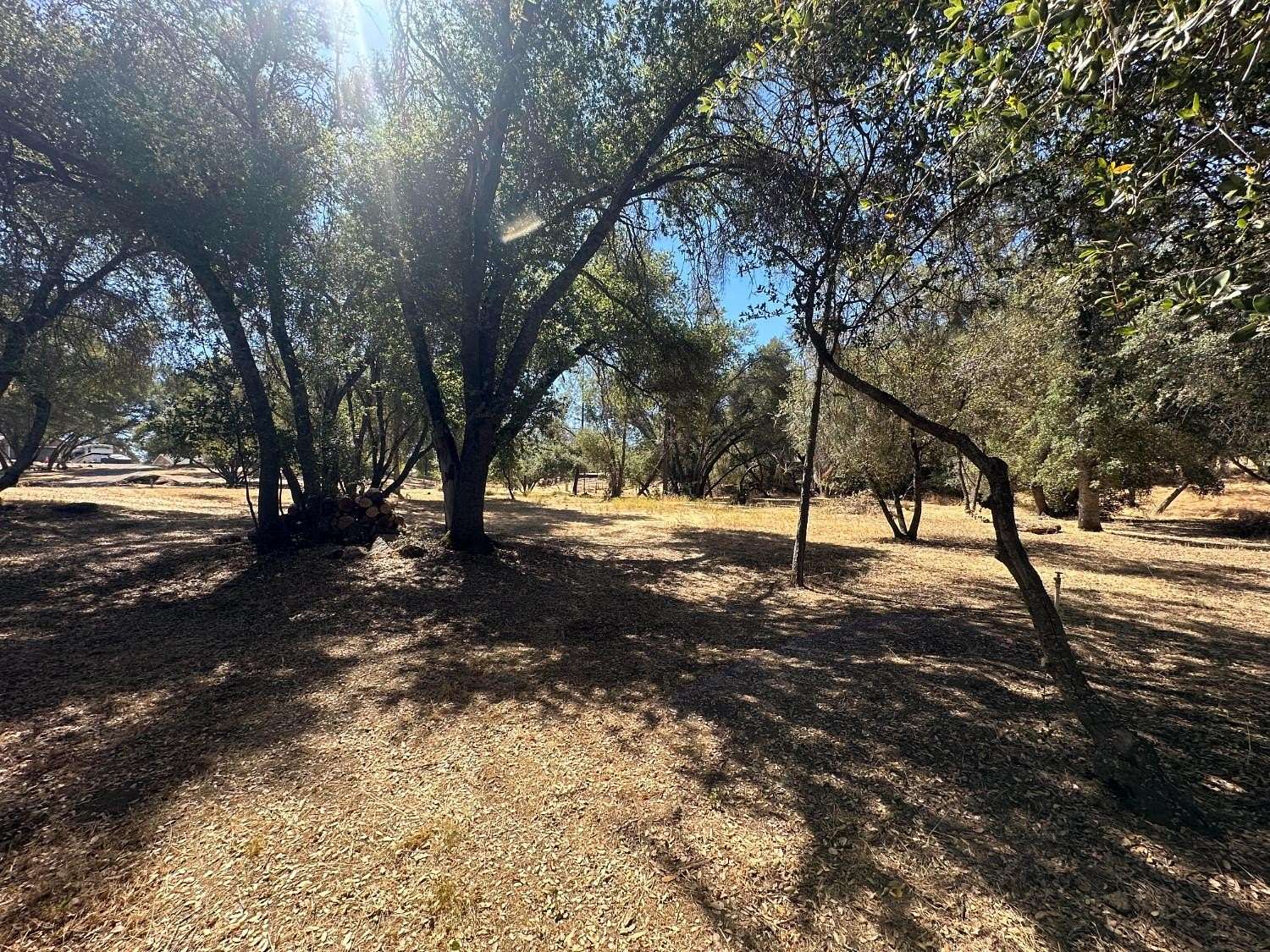 1 Acre of Residential Land for Sale in Coarsegold, California