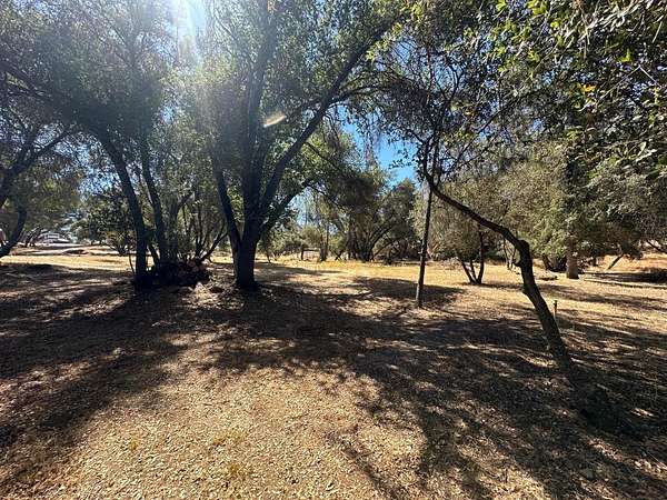 1 Acre of Residential Land for Sale in Coarsegold, California
