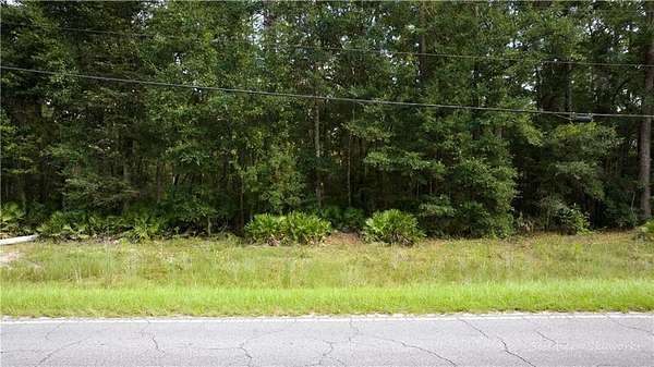 11.7 Acres of Land for Sale in Townsend, Georgia