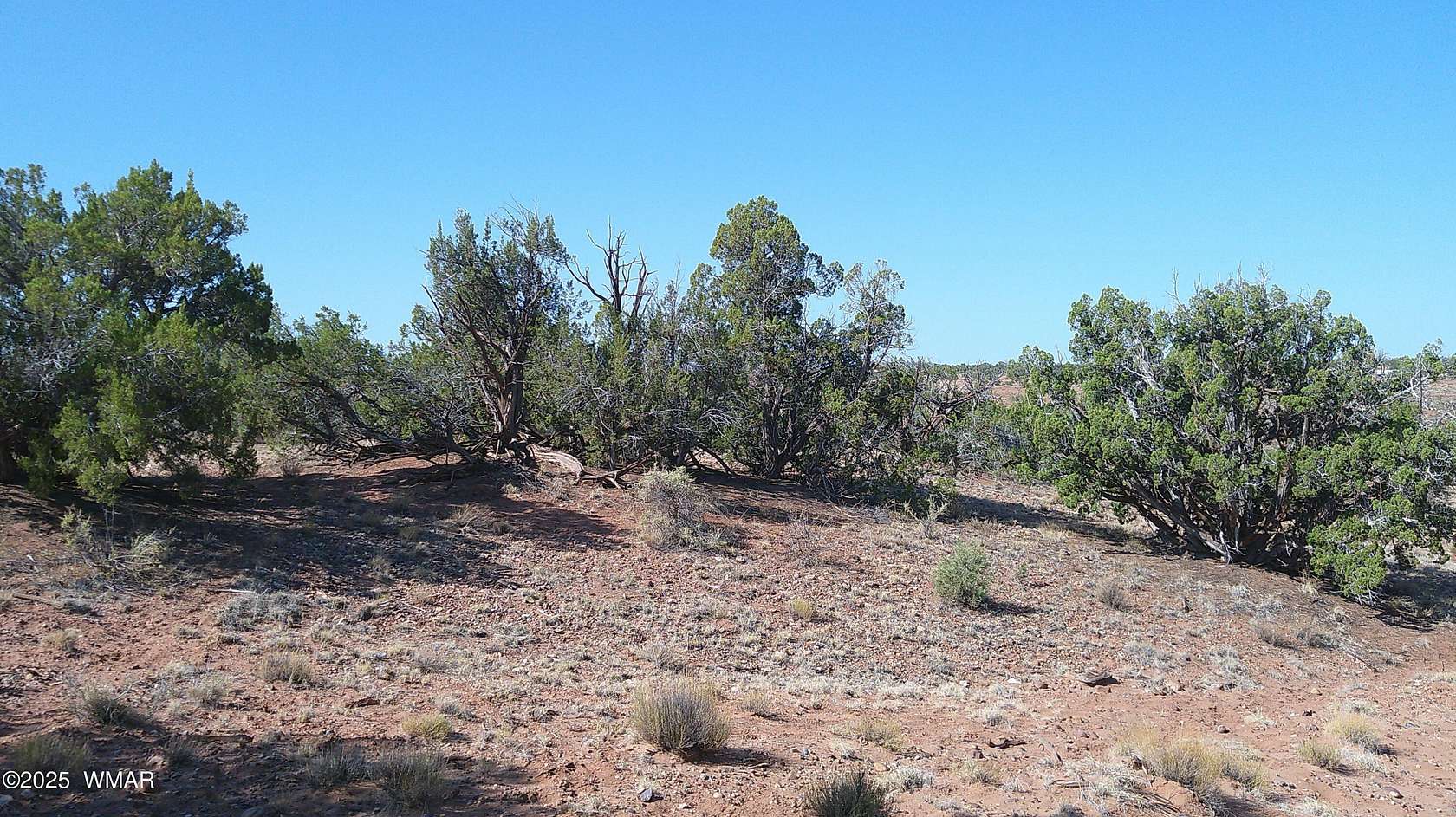 38.8 Acres of Land for Sale in Concho, Arizona