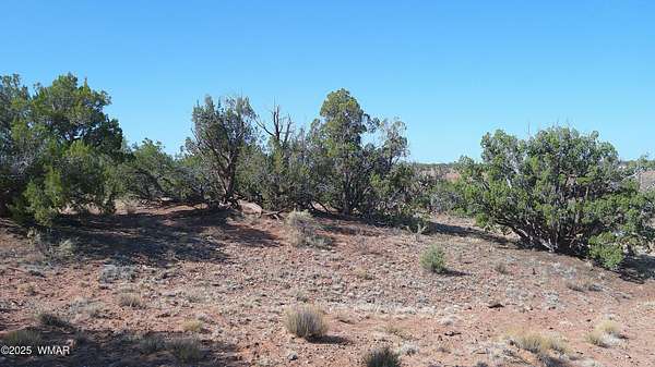 38.8 Acres of Land for Sale in Concho, Arizona
