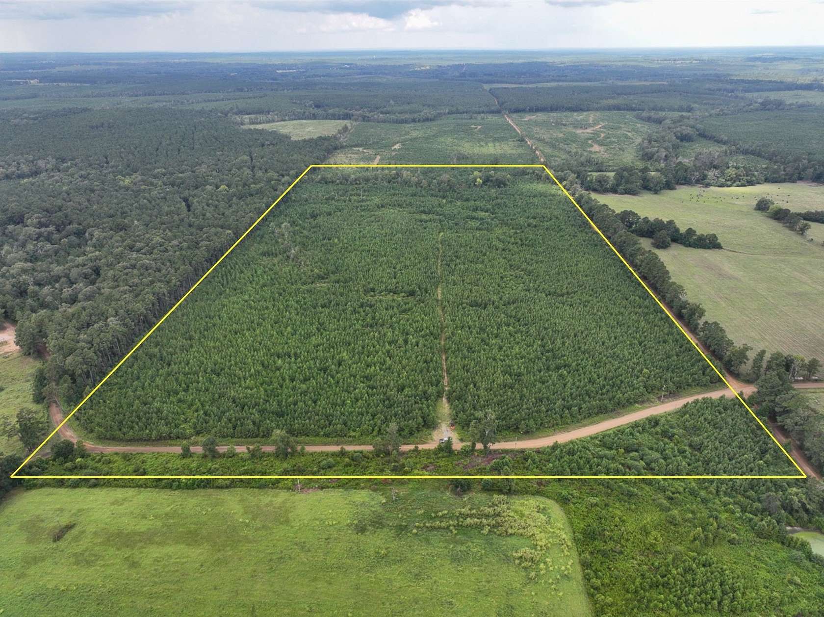 75 Acres of Land for Sale in Florien, Louisiana