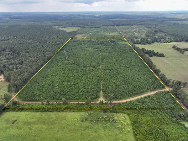 75 Acres of Land for Sale in Florien, Louisiana