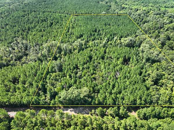 19.6 Acres of Recreational & Residential Land for Sale in Mansfield, Louisiana
