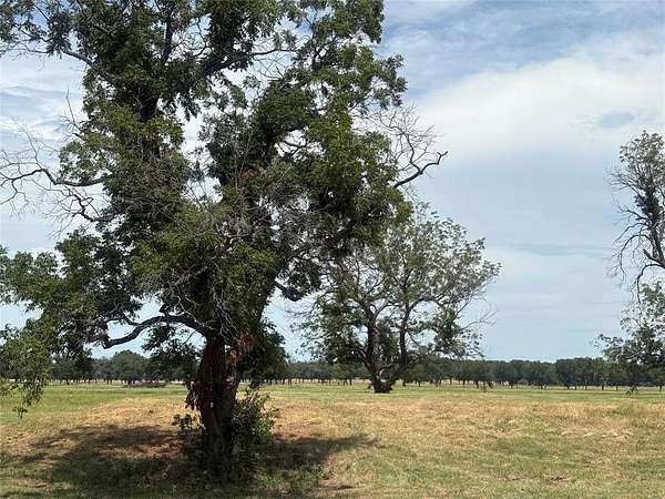 1 Acre of Residential Land for Sale in Weatherford, Texas