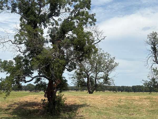 1 Acre of Residential Land for Sale in Weatherford, Texas