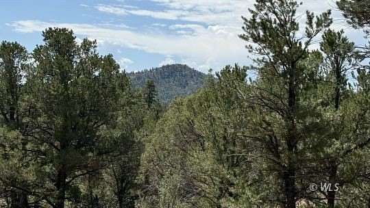 2.38 Acres of Residential Land for Sale in Cotopaxi, Colorado