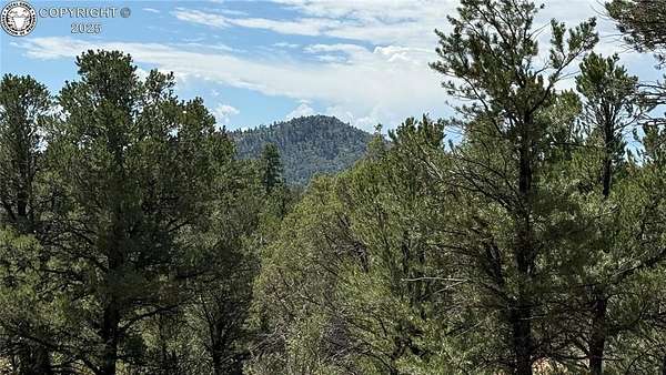 2.38 Acres of Land for Sale in Cotopaxi, Colorado