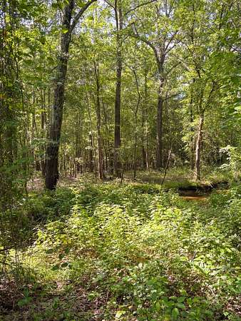 80 Acres of Recreational Land for Sale in Houston, Arkansas