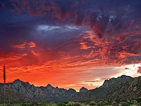 36.8 Acres of Agricultural Land for Sale in St. David, Arizona