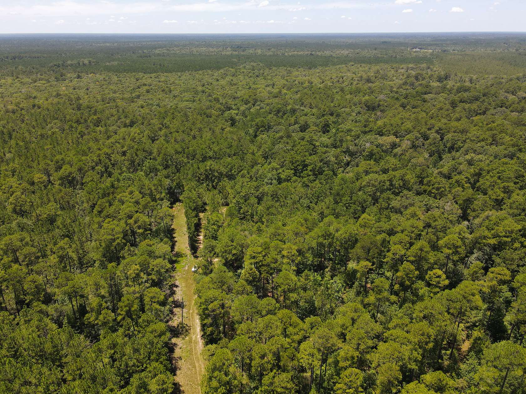 110 Acres of Land for Sale in Kountze, Texas