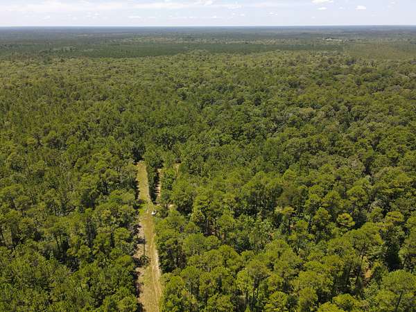 110 Acres of Land for Sale in Kountze, Texas