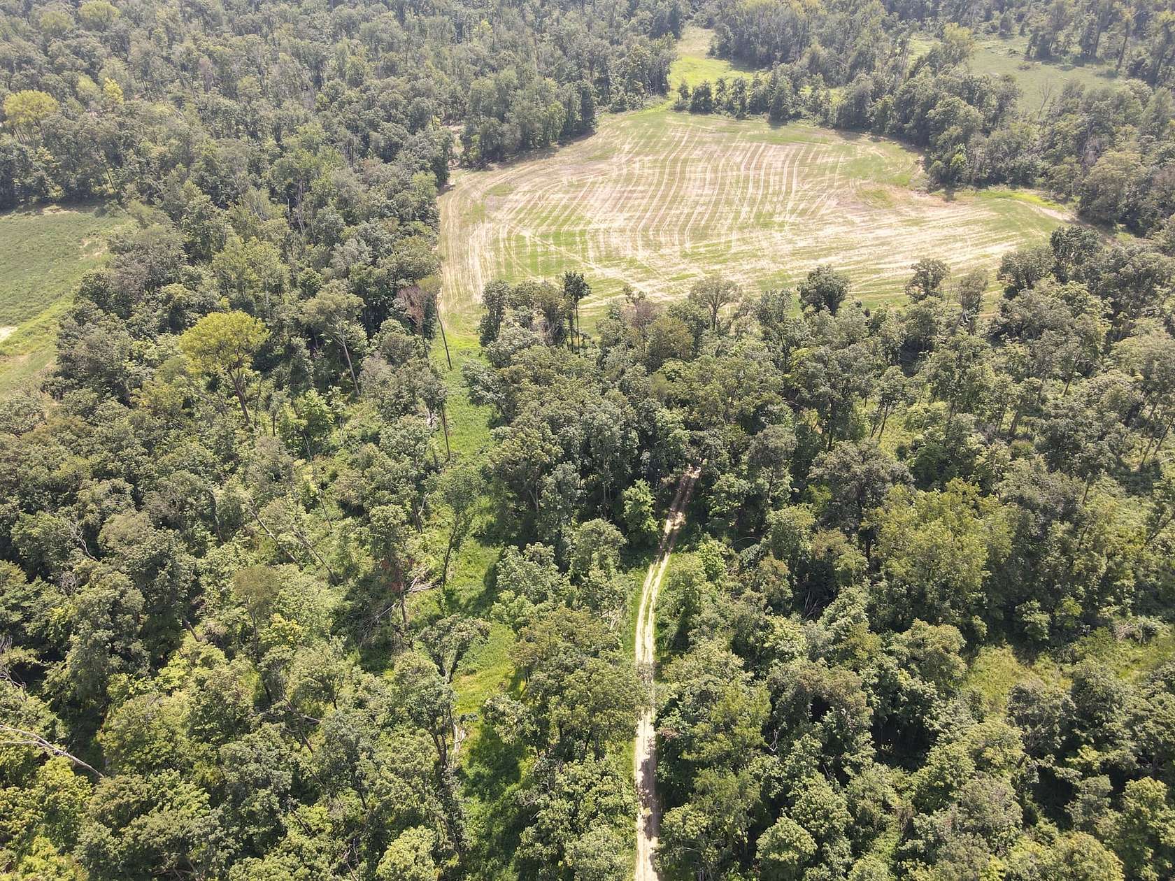 80 Acres of Recreational Land for Sale in Newton, Illinois