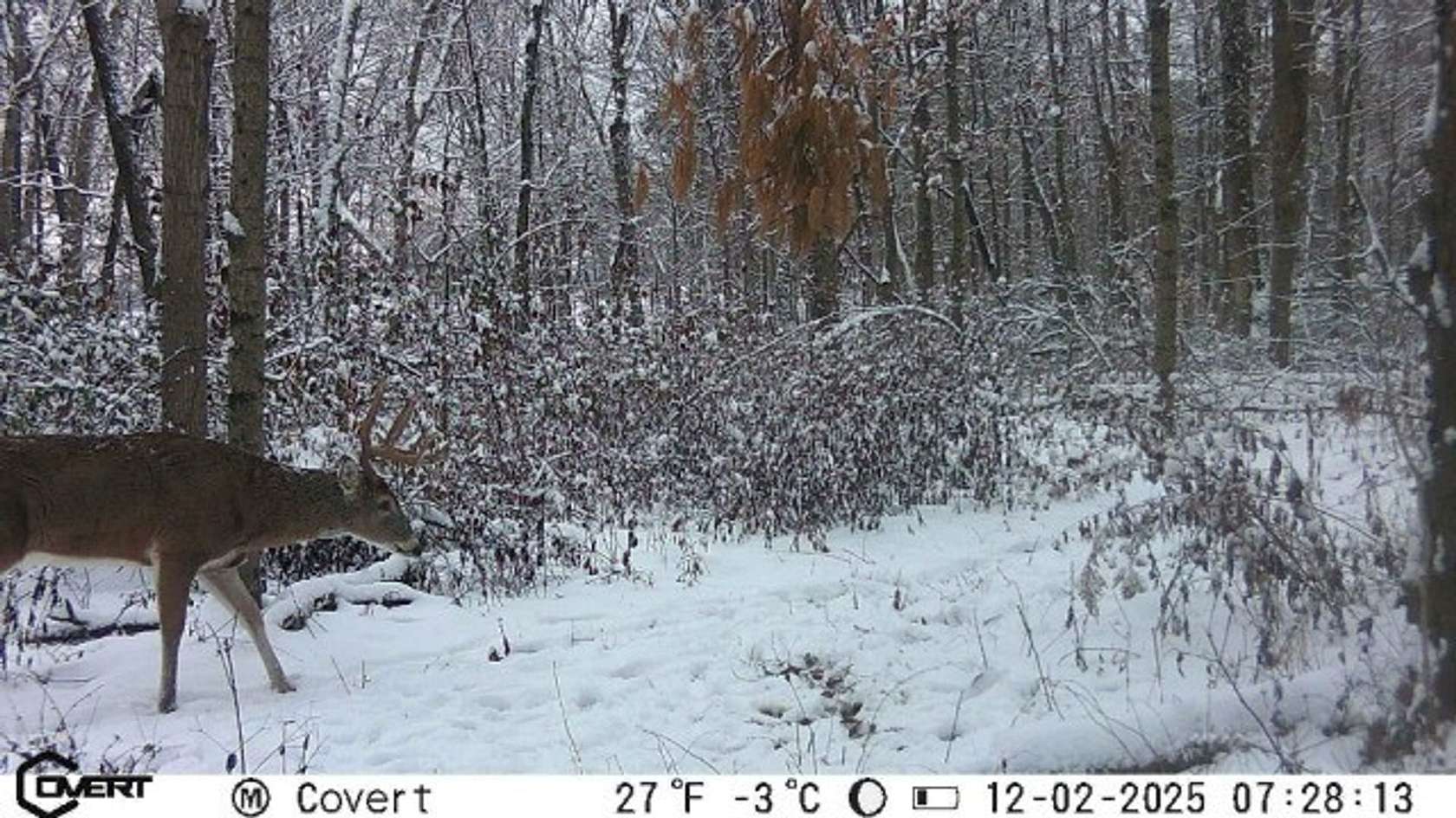 80 Acres of Recreational Land for Sale in Newton, Illinois